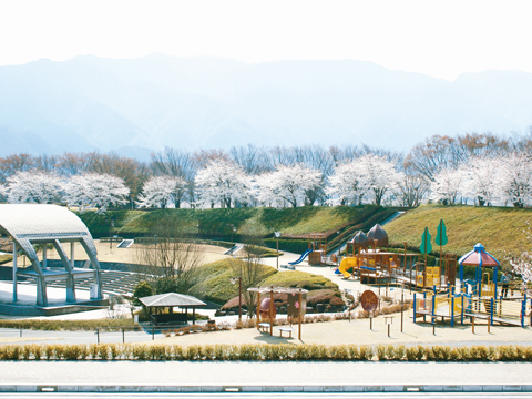 曽根丘陵公園