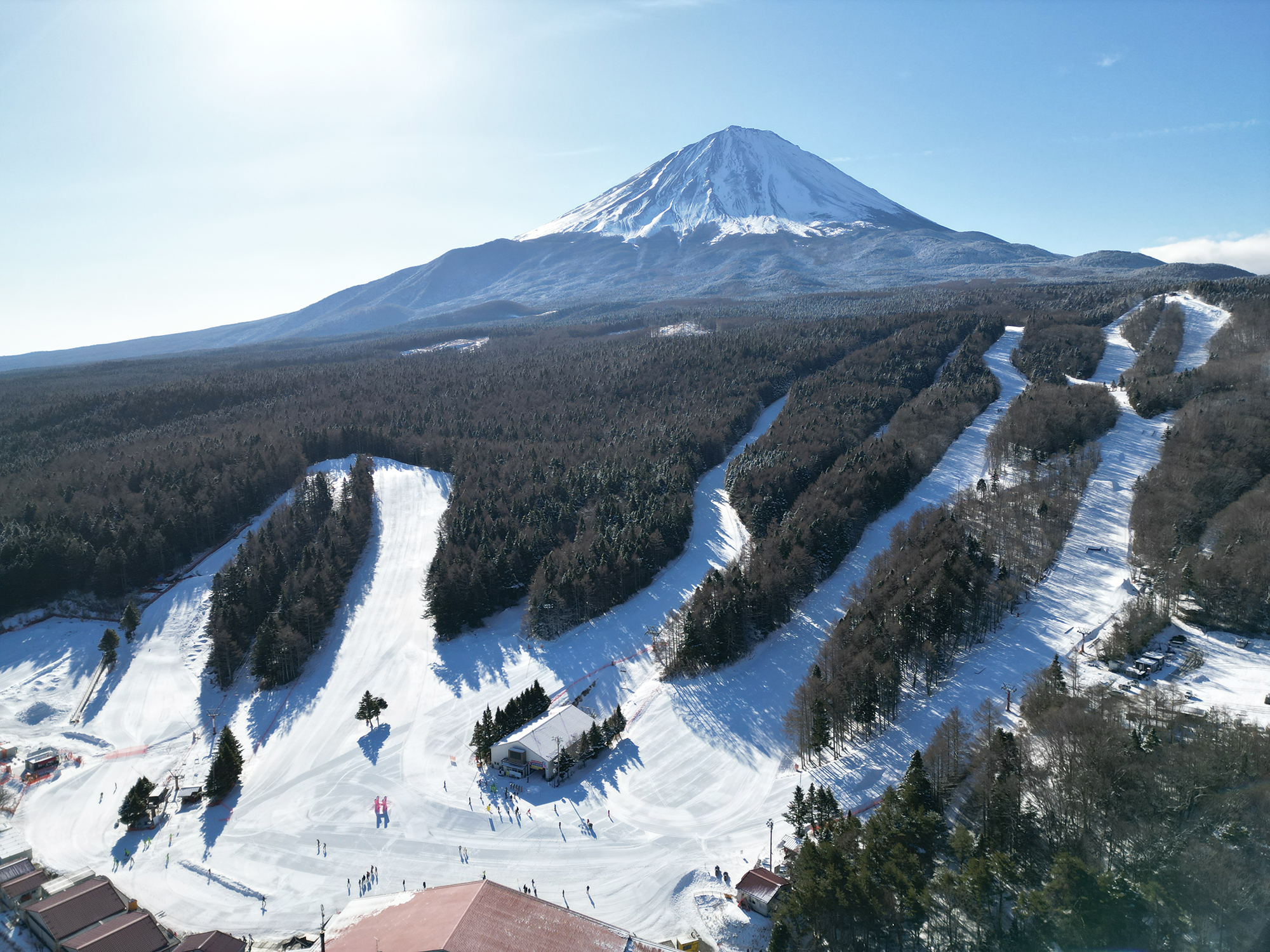 活動歴および当時の関連ビジュアル記録